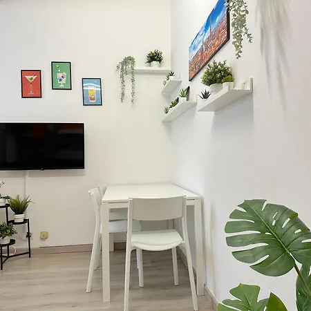 Mondo House