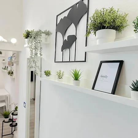 Mondo House Apartment *